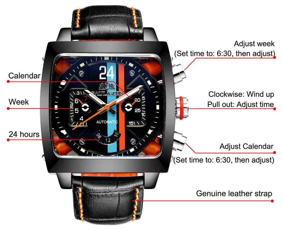 PAULAREIS Automatic Watch